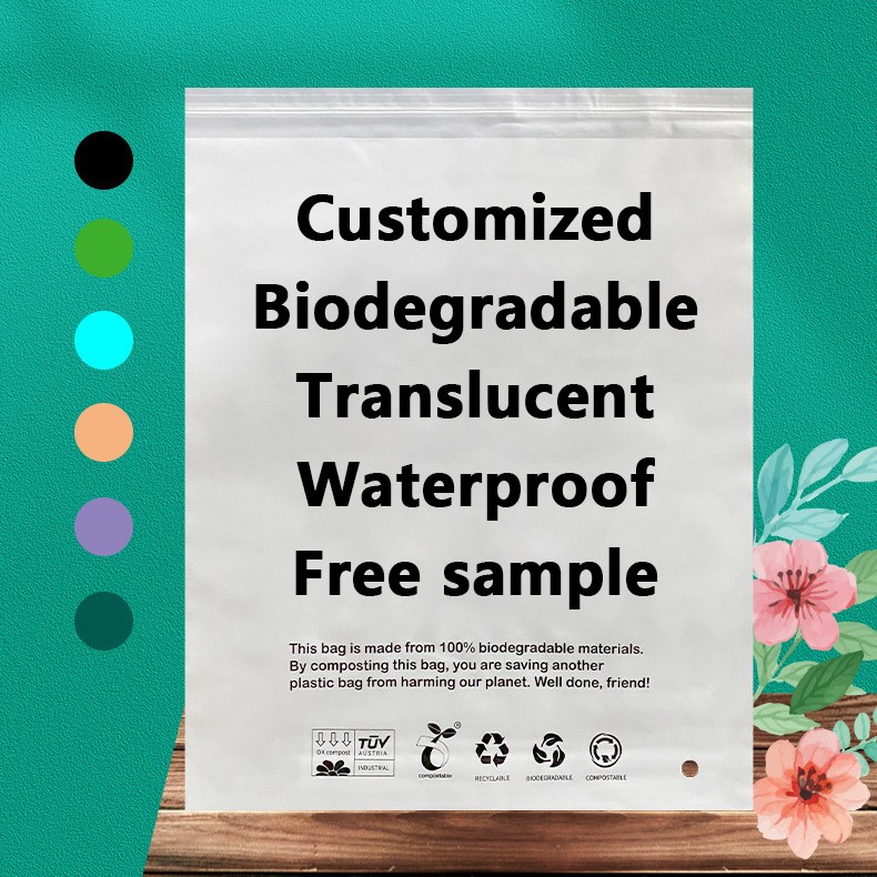 Zeal X, 전세계 지속 가능한 포장 솔루션을 위한 고성능 PLA PBAT 생분해성 백 출시